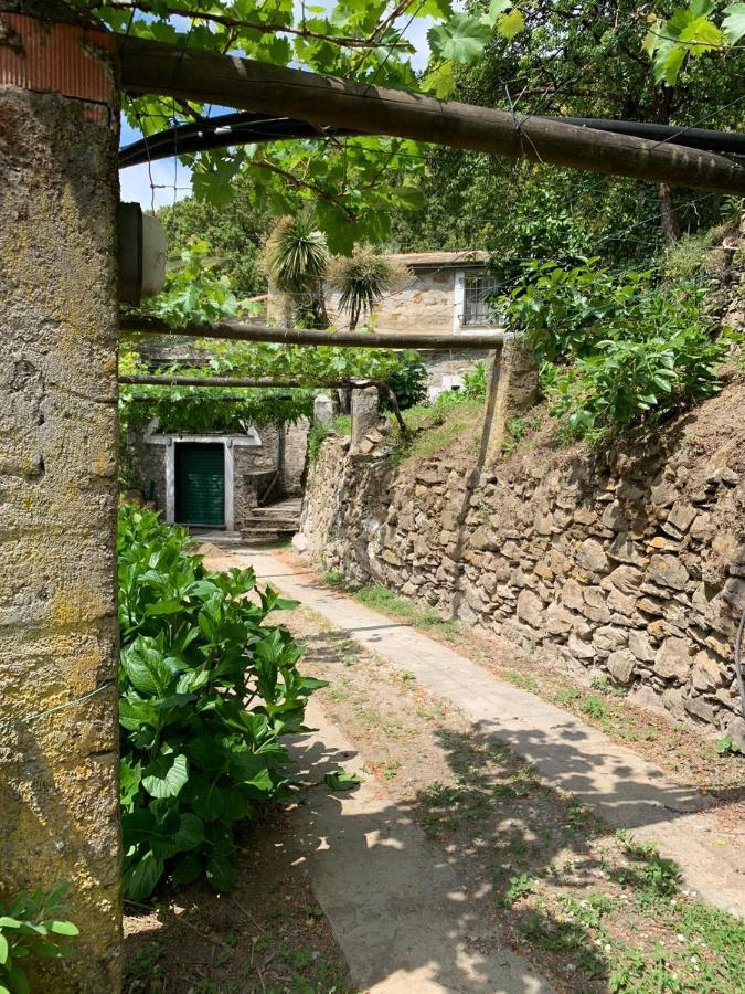 Vecchio Mulino Fontona Ortensia Chiesanuova  Exterior photo