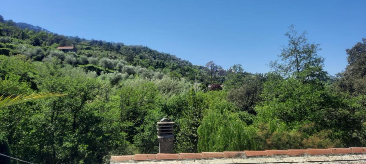 Vecchio Mulino Fontona Ortensia Chiesanuova  Exterior photo