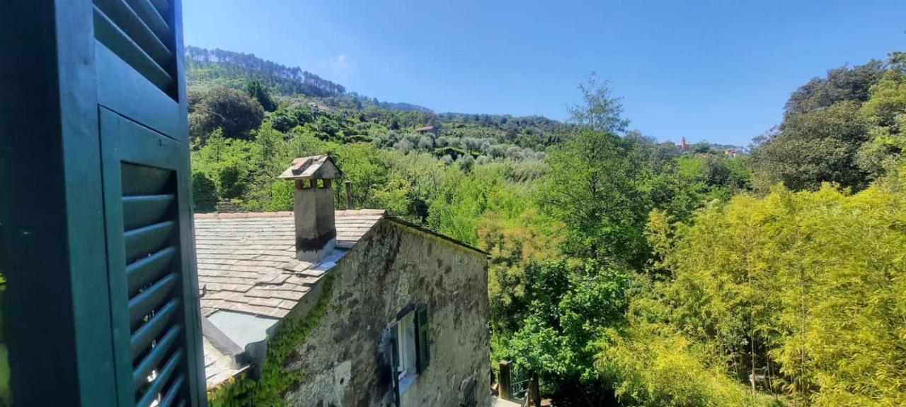 Vecchio Mulino Fontona Ortensia Chiesanuova  Exterior photo
